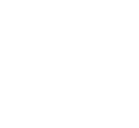 Das Kinofest